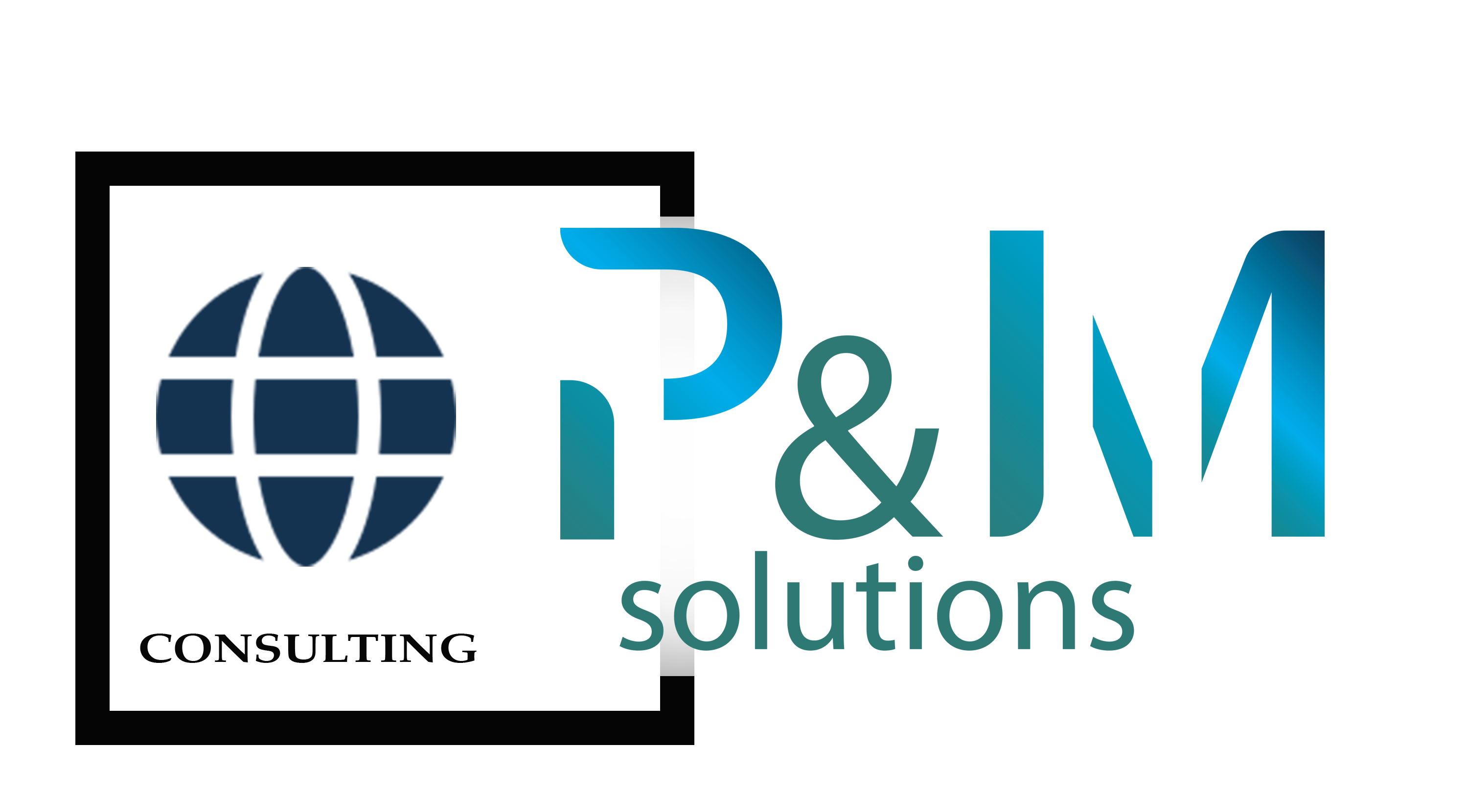 pmsolution